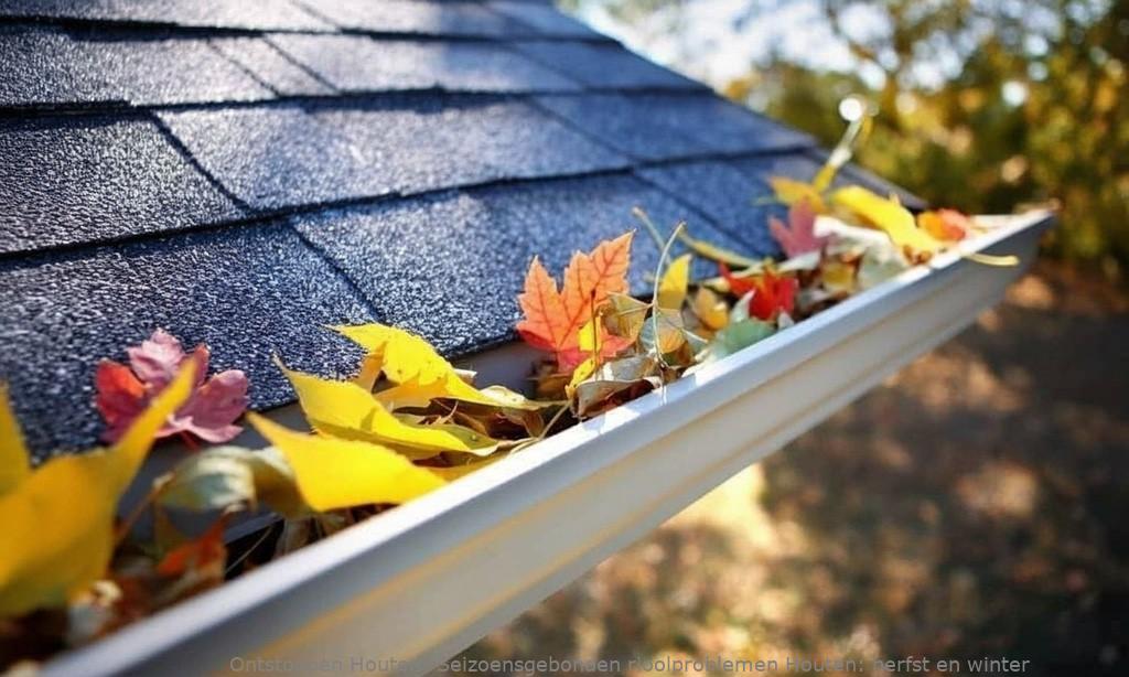 Seizoensgebonden rioolproblemen Houten: herfst en winter